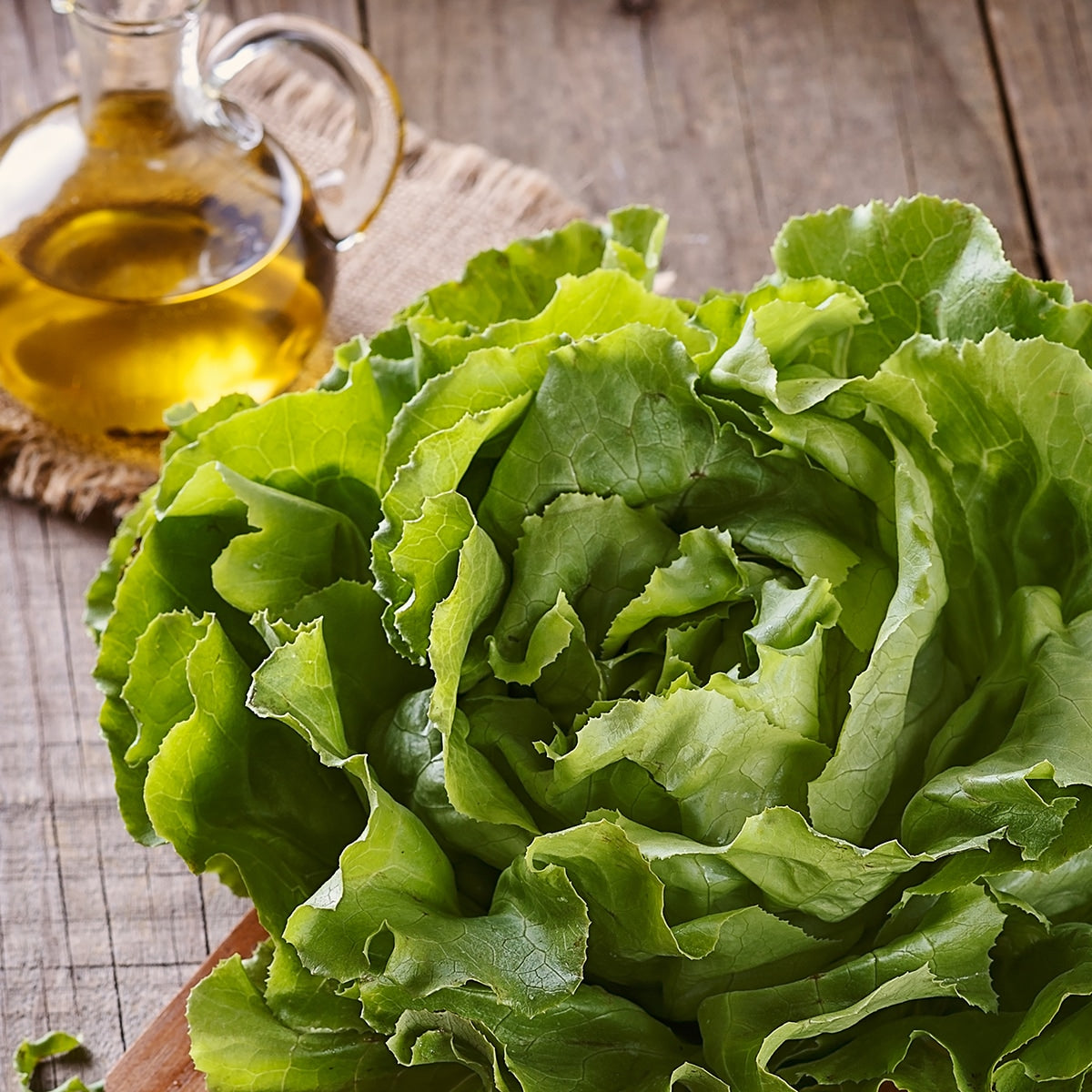 Lettuce in a kitchen setting 