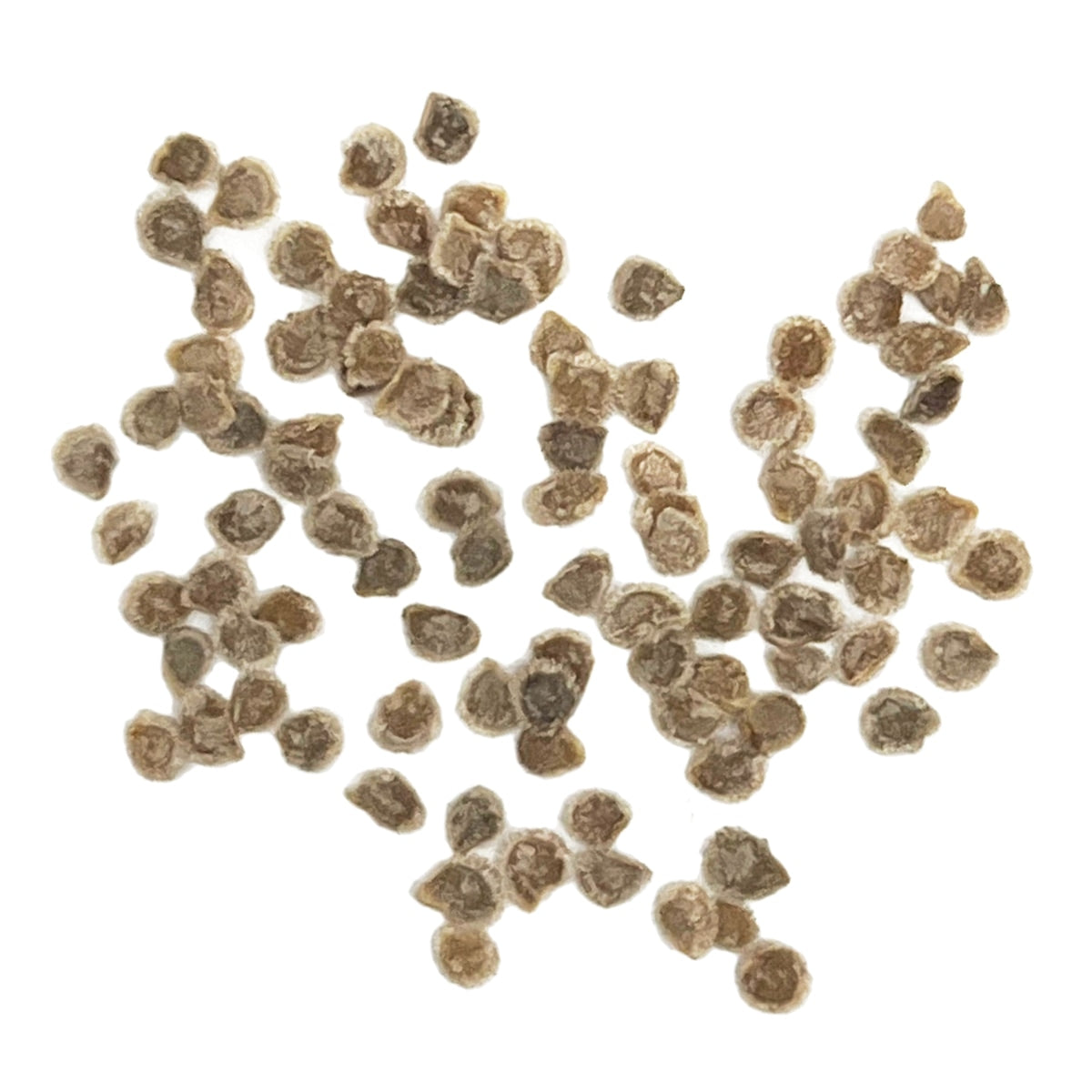 A close view of seeds on a white background 
