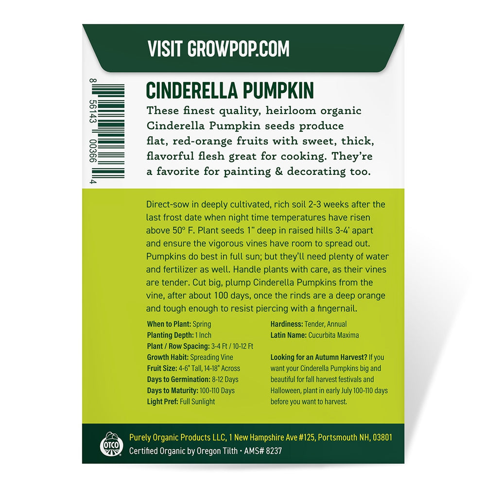 Purely Organic Cinderella Pumpkin Seeds - USDA Organic, Non-GMO, Open Pollinated, Heirloom, USA Origin, Vegetable Seeds
