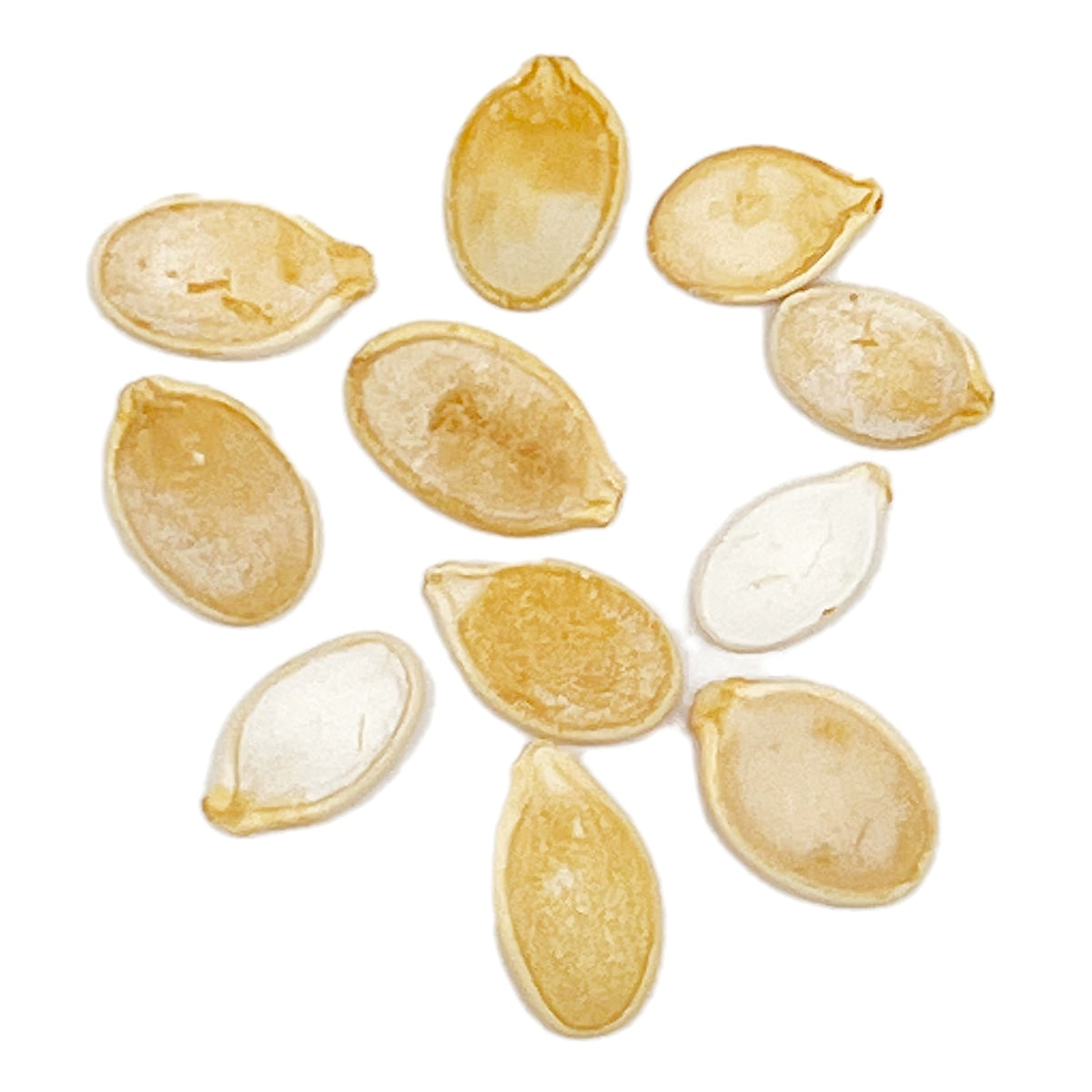 A close view of seeds on a white background 
