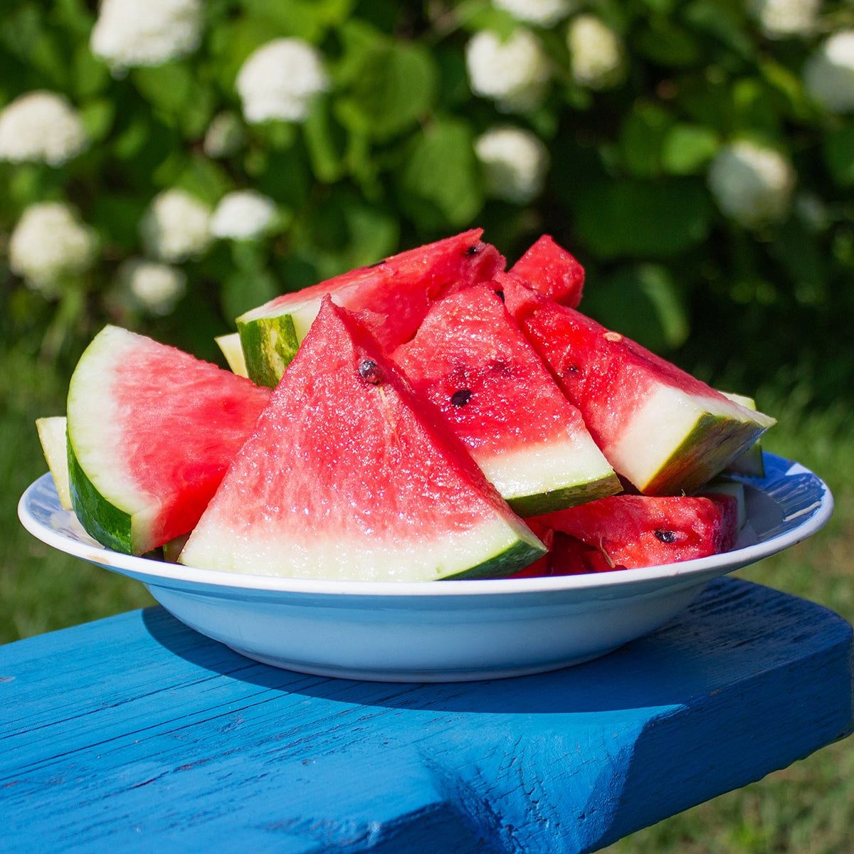 Watermelon in bowl outside 