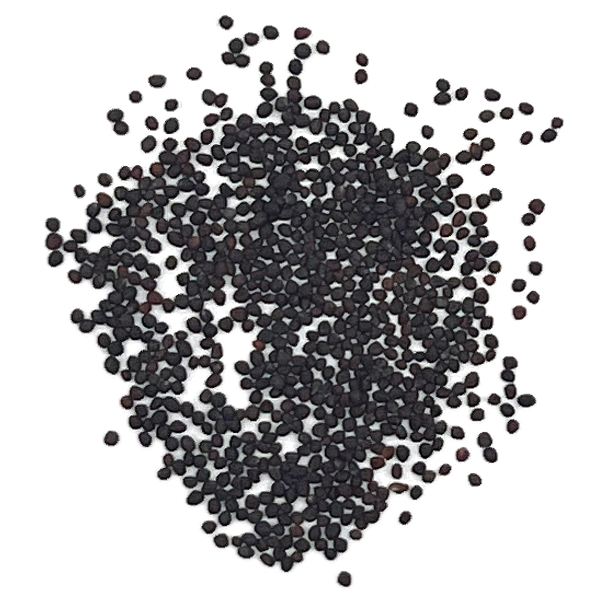 A close view of seeds on a white background 
