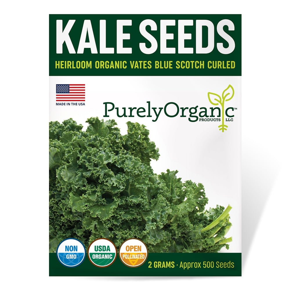 Purely Organic Vates Blue Scotch Curled Kale Seeds - USDA Organic, Non-GMO, Open Pollinated, Heirloom, USA Origin, Vegetable Seeds