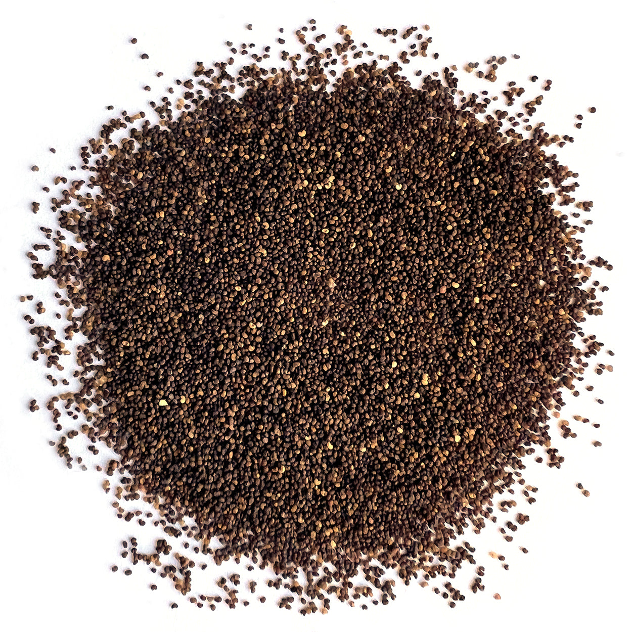 The Old Farmer's Almanac American Legion Corn Poppy Seeds