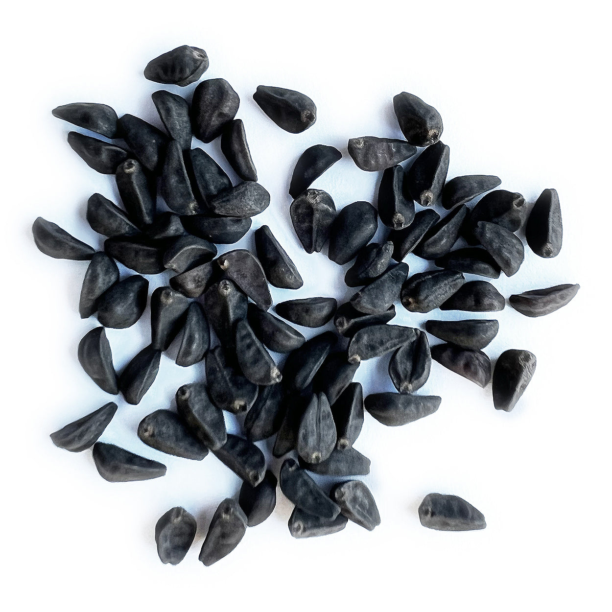 A close view of seeds on a white background 

