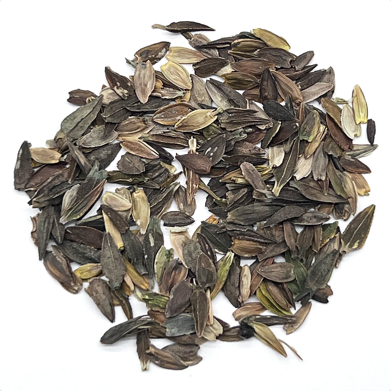 A close view of seeds on a white background 
