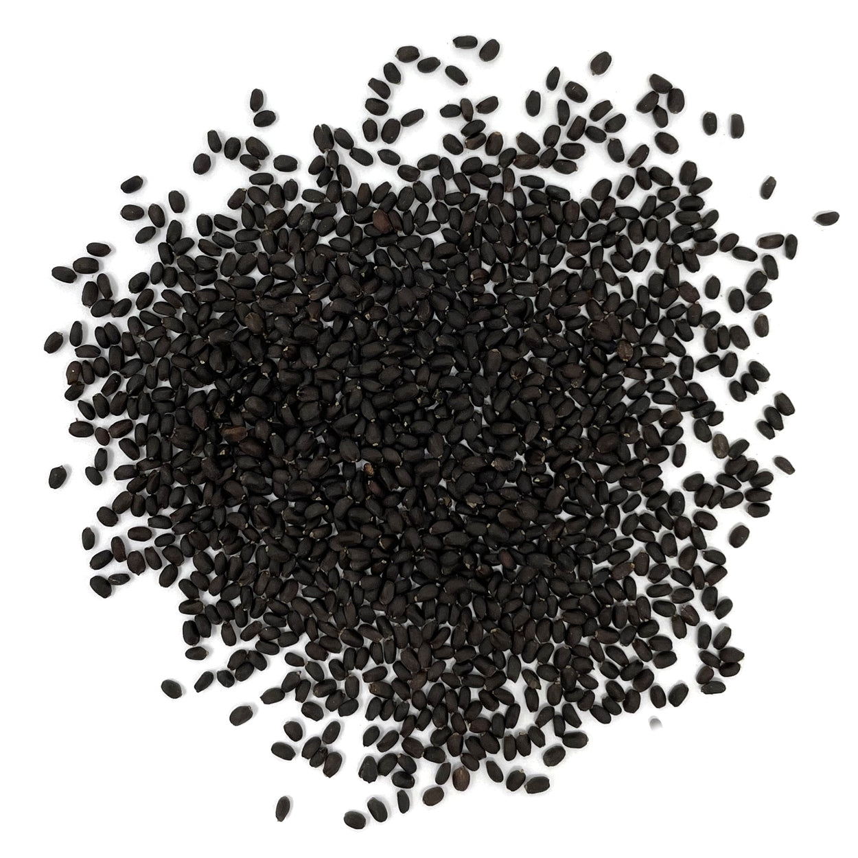 Basil Seeds 
