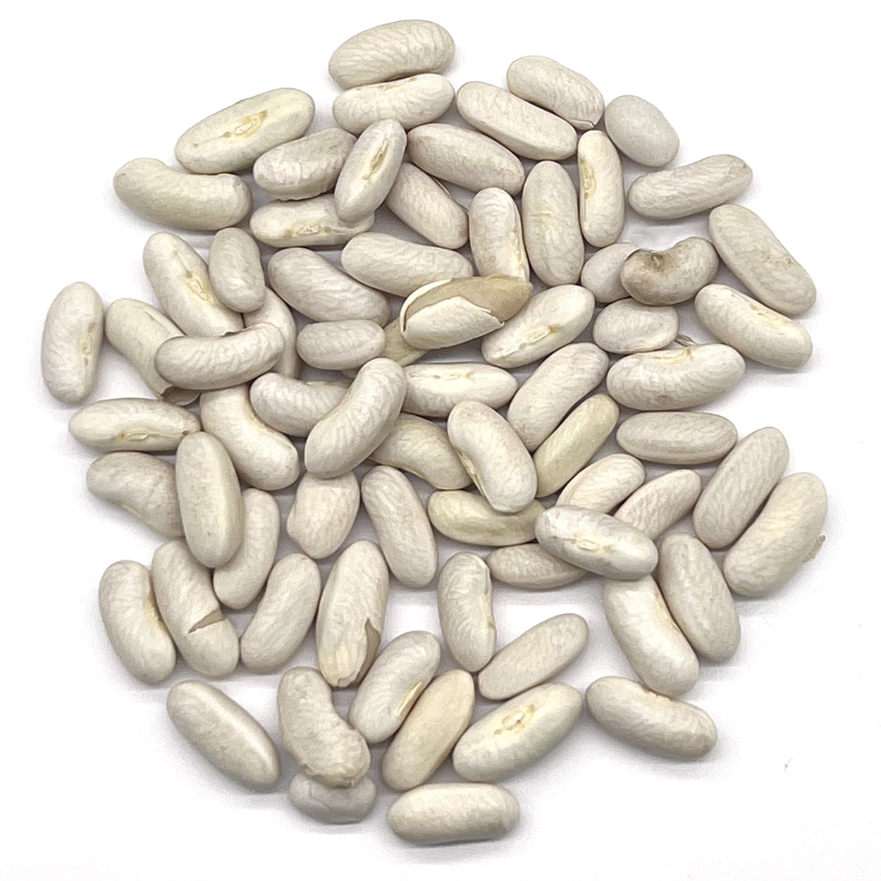 A close view of seeds on a white background 
