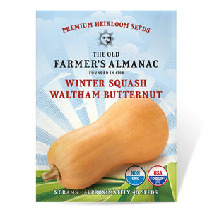 The Old Farmer's Almanac Heirloom Waltham Butternut Winter Squash Seeds - Premium Non-GMO, Open Pollinated, USA Origin, Vegetable Seeds