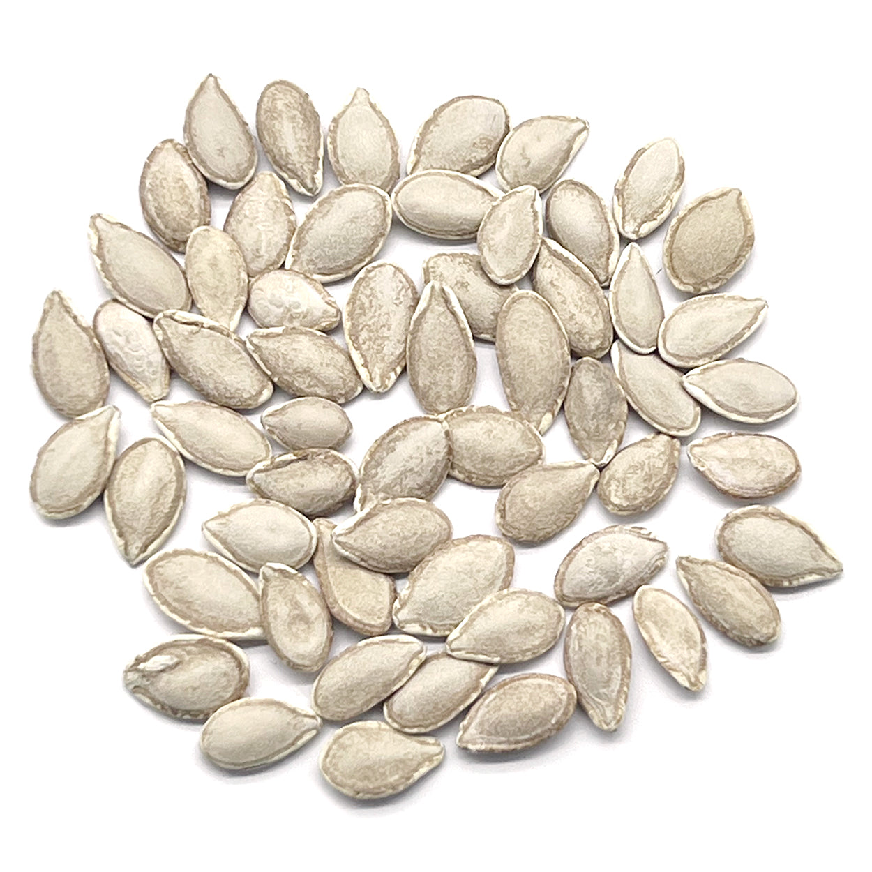A close view of seeds on a white background 
