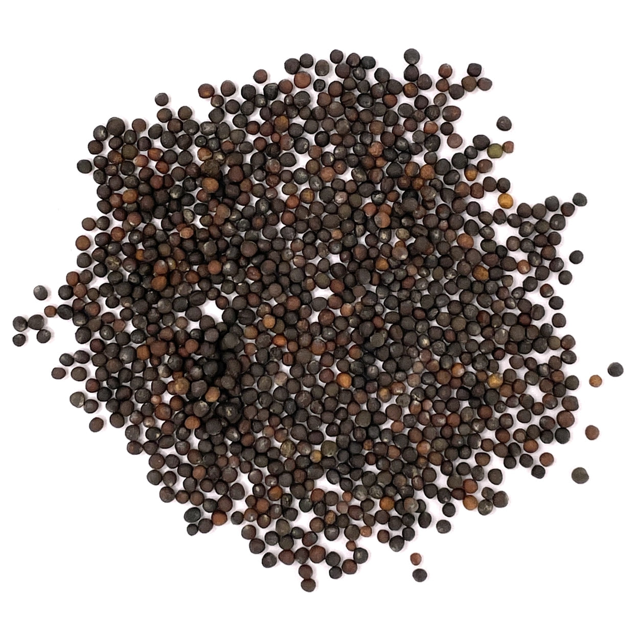 A close view of seeds on a white background 