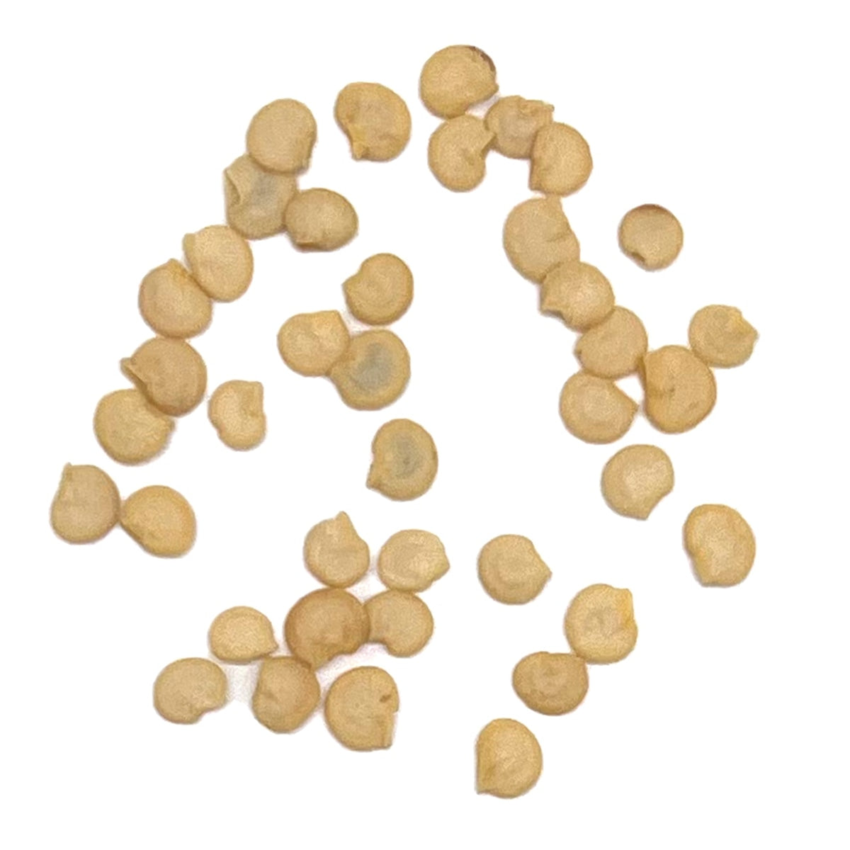 A close view of seeds on a white background 
