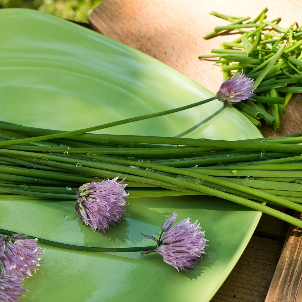 Chives on a plate 