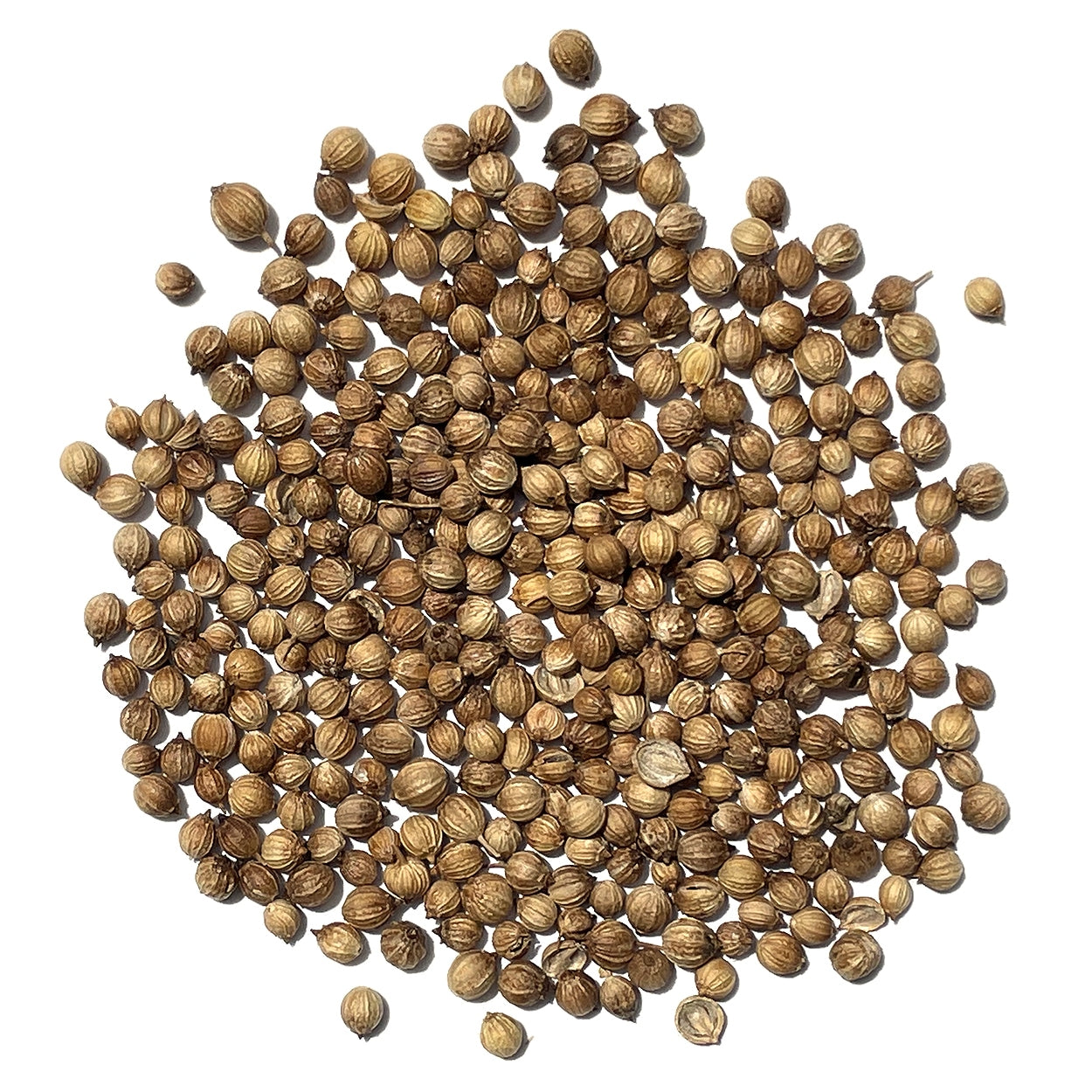 A close view of seeds on a white background 