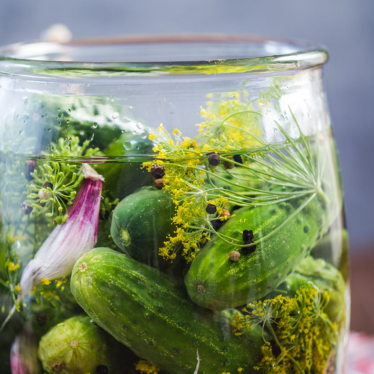 Dill in a Jar with Pickles 