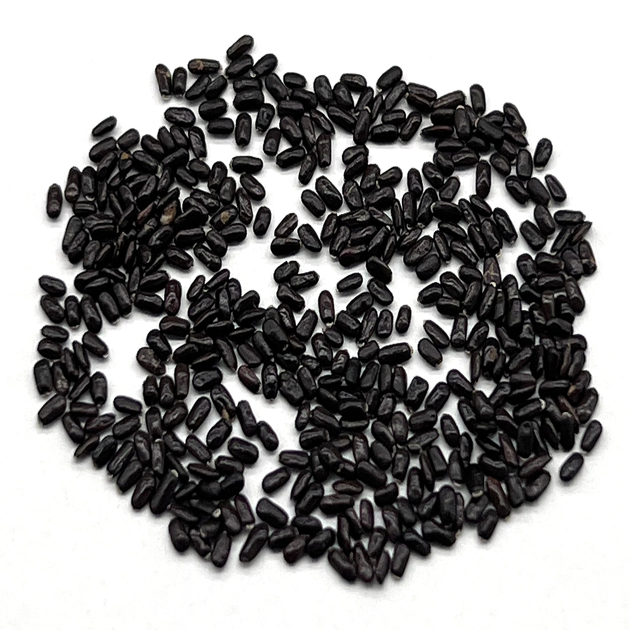 A close view of seeds on a white background 
