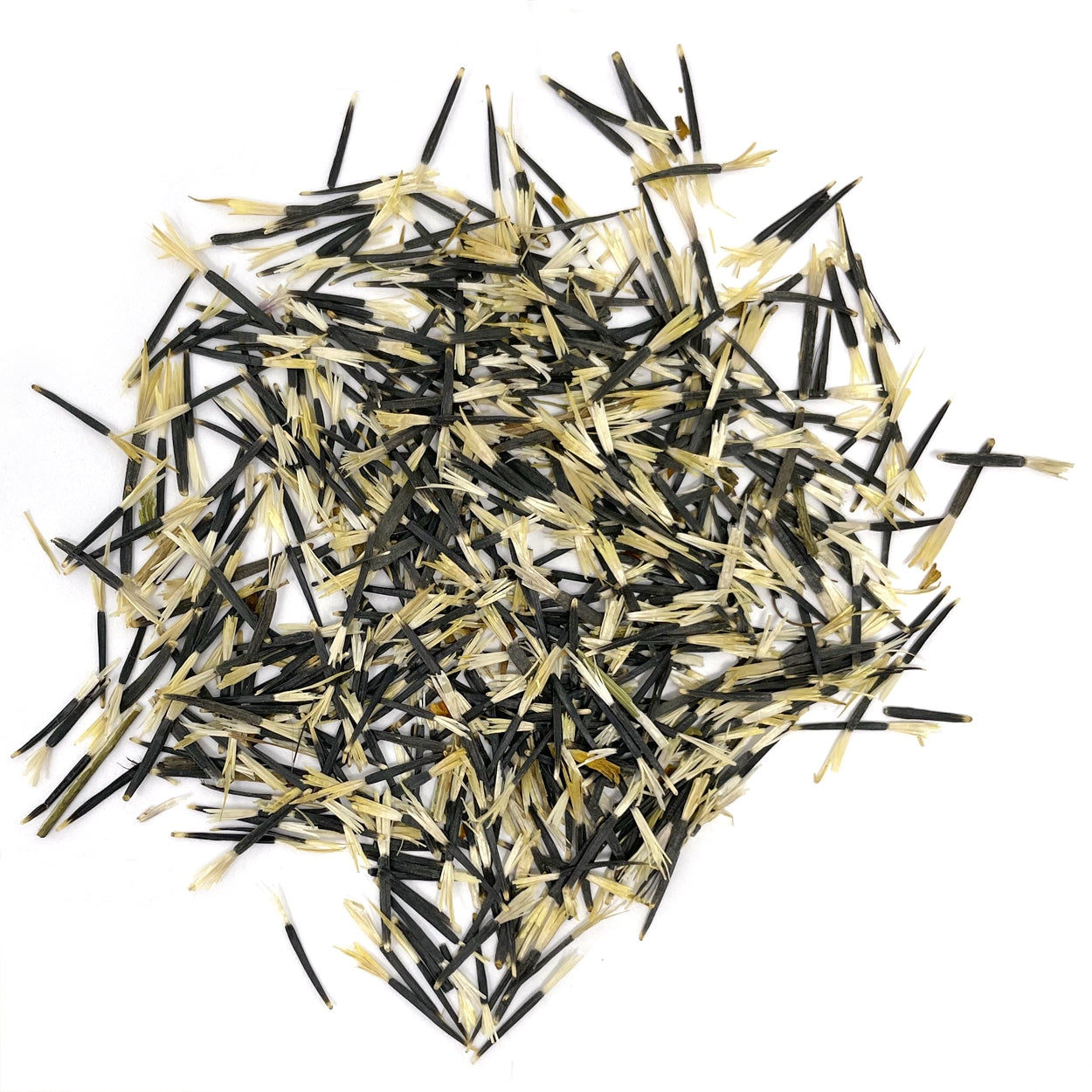 Seeds on a white background 