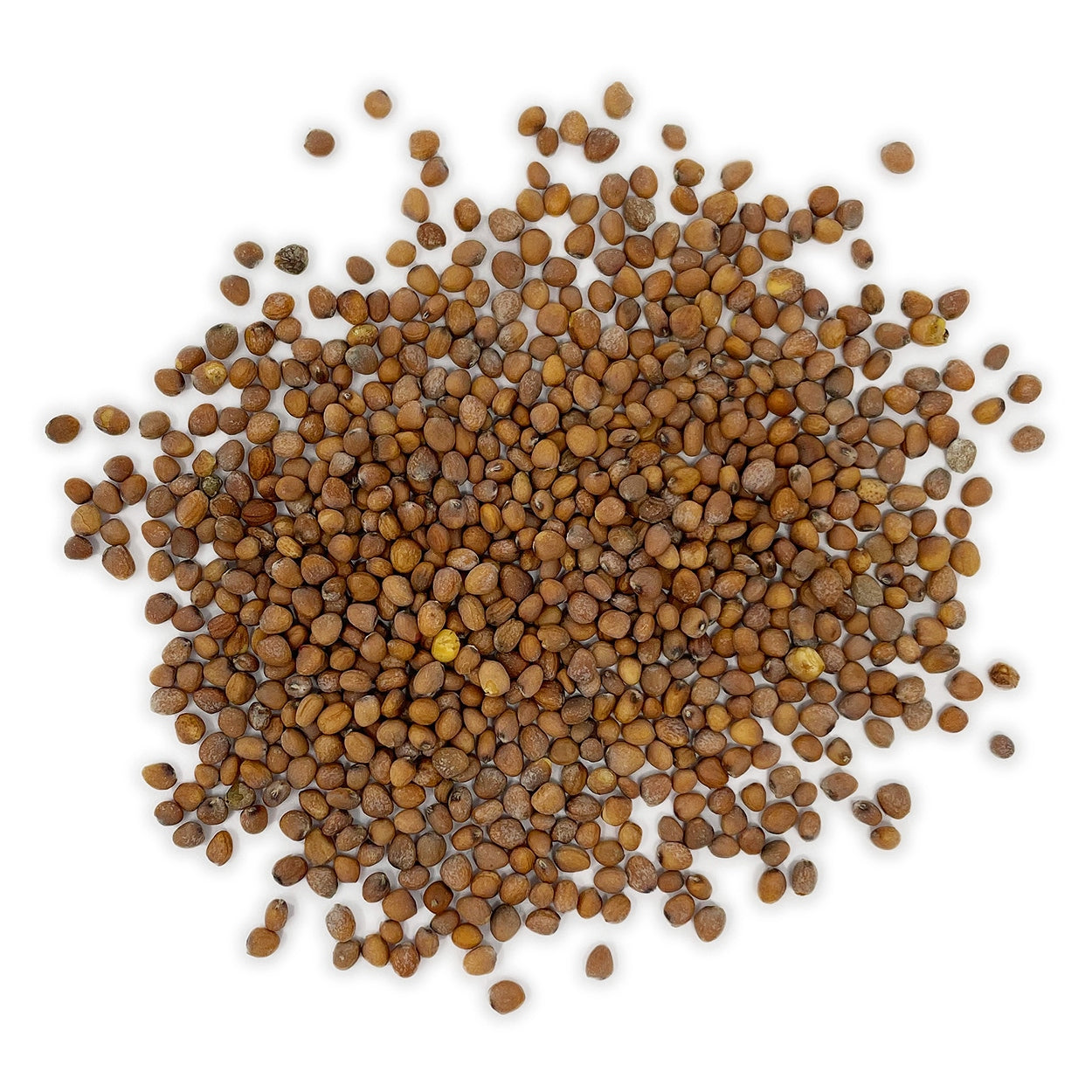 Seeds on a white background 