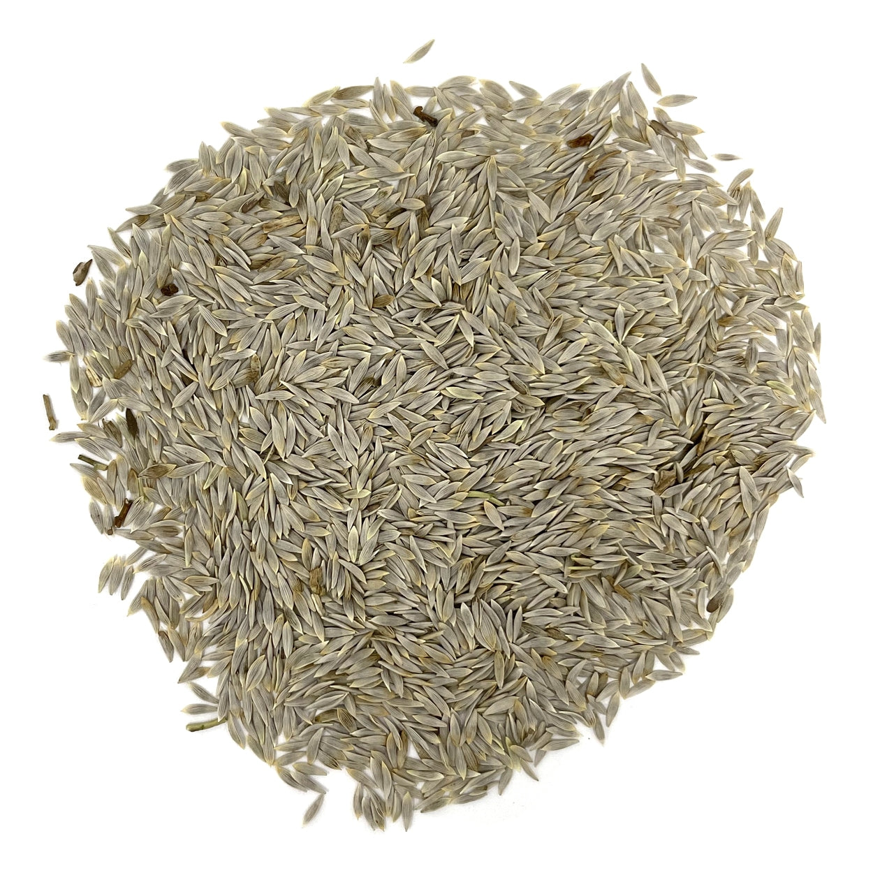 A close view of seeds on a white background 