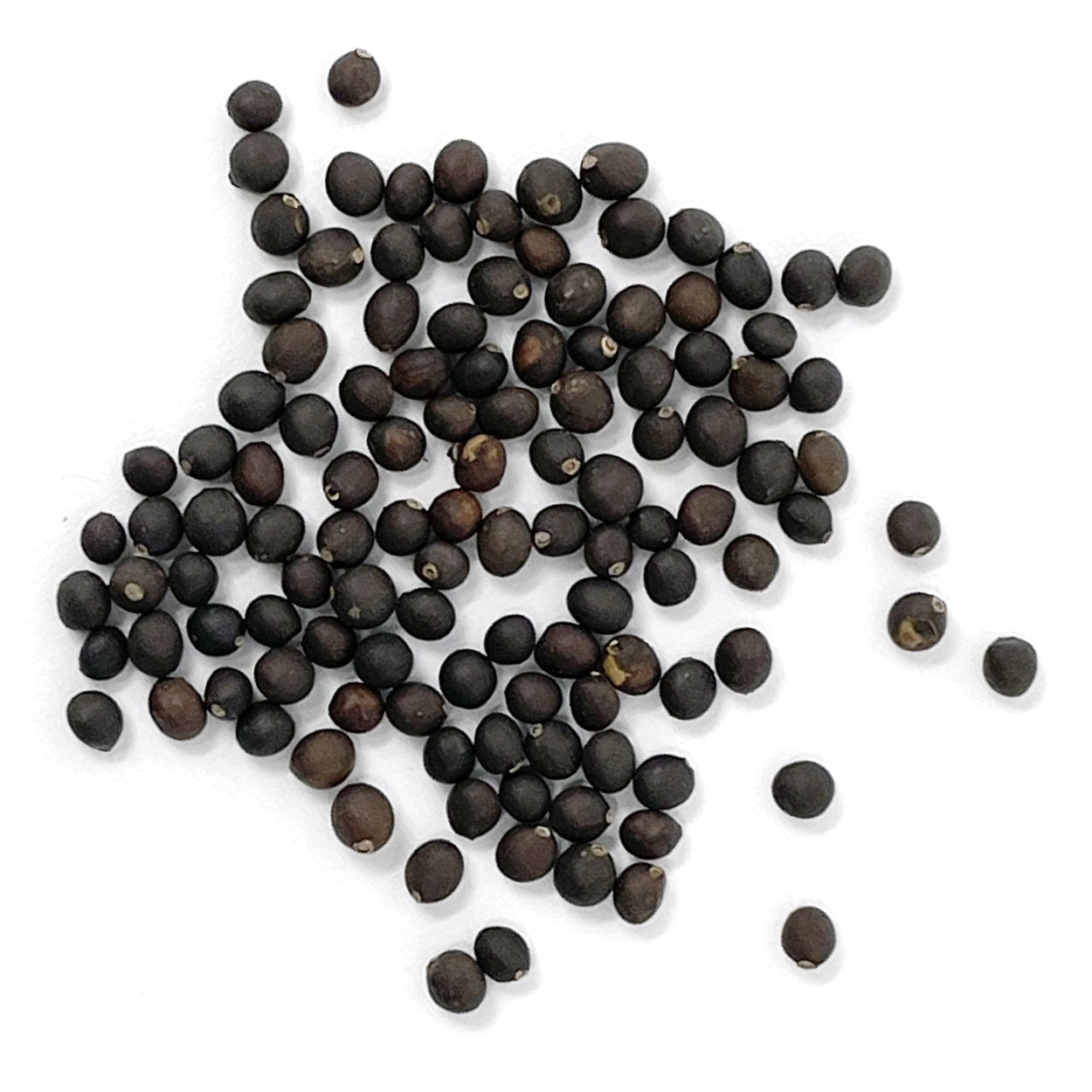 A close view of seeds on a white background 