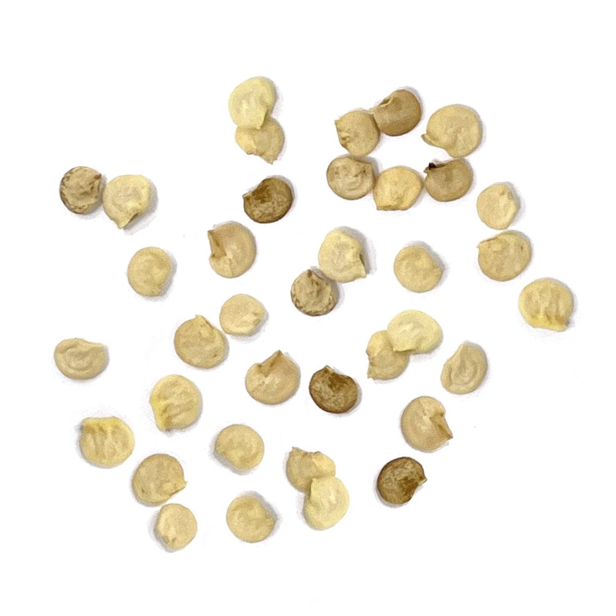 A close view of seeds on a white background 