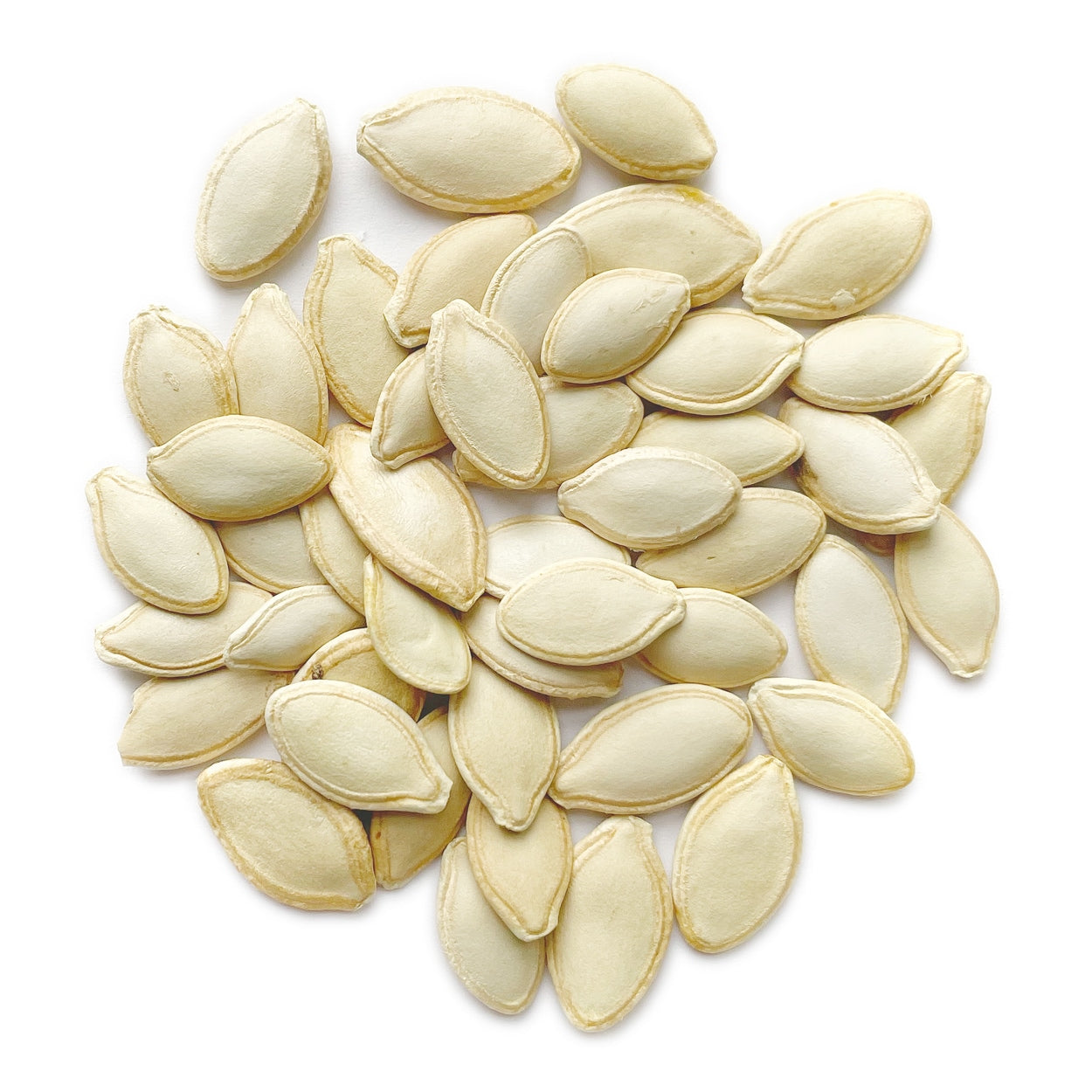 Seeds on a white background 