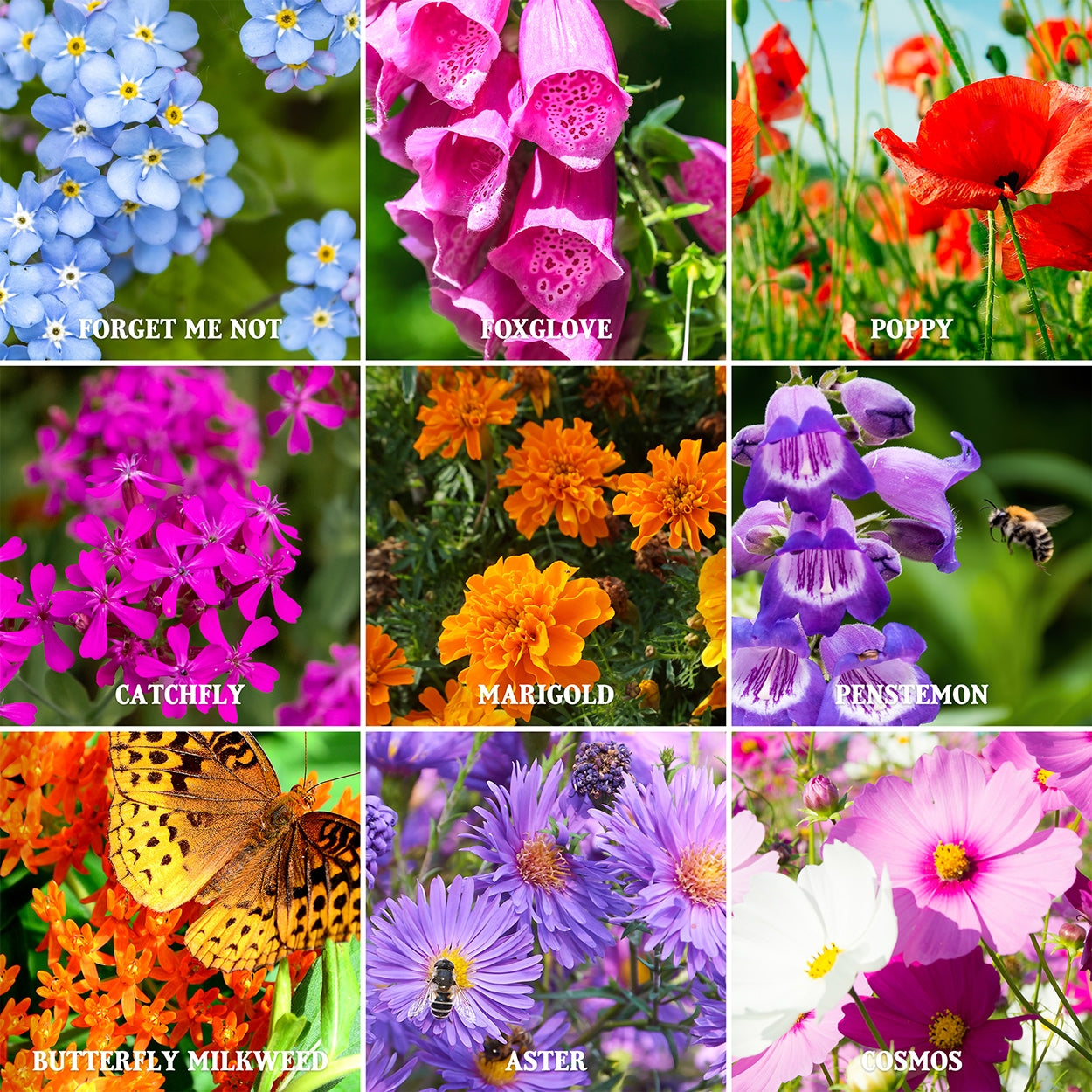 the best wildflower seeds The Old Farmer's Almanac Premium Pollinator Mix Wildflower Seeds