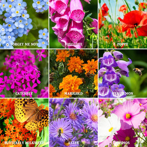 The Old Farmer's Almanac Premium Pollinator Mix Wildflower Seeds - Includes 23 Varieties